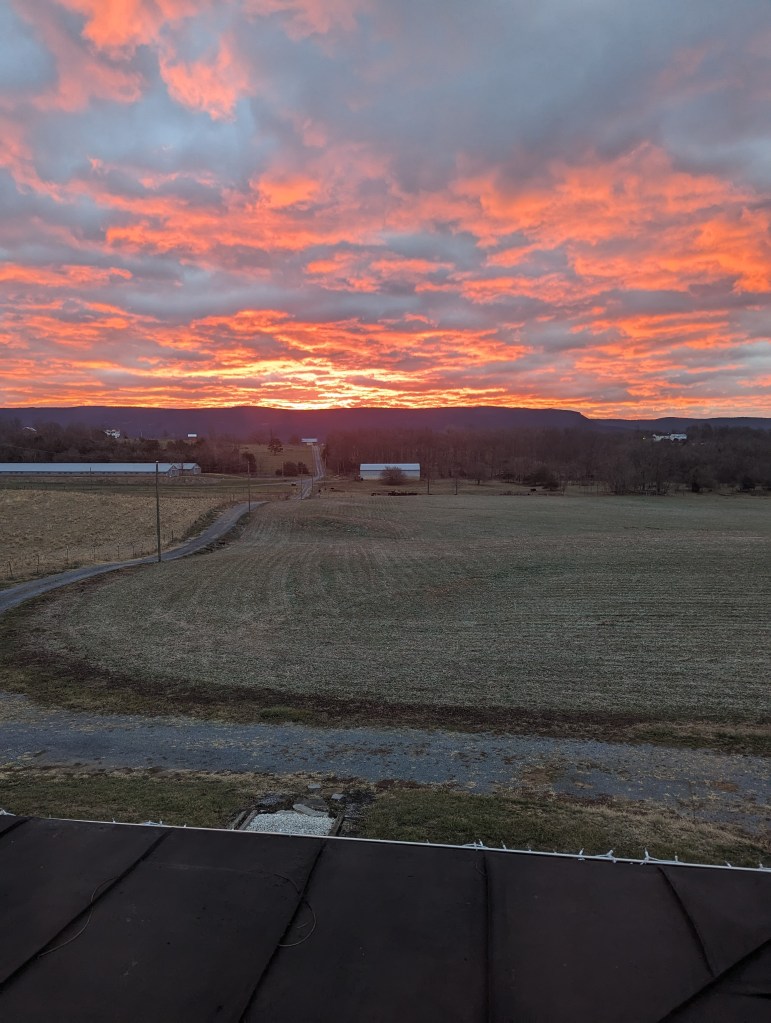 Sunset in the BlueRidge | Organic Microgreens | Shenandoah Valley, Virginia | Celestial Homestead